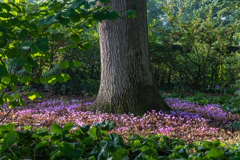 Bates Green Garden